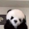 xwzlyn_