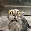 luis_190907