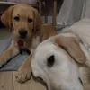 kai_lucky