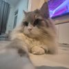 iyann_0122