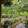 helenphan04061