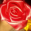 dse_shop