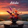 aduke2210