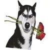 xupasseios99