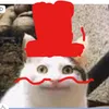 user6t6qulq9wi