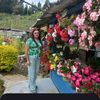 anaechavarria0