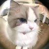 Tina