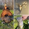 jacobwilkens_63