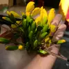 simplelife_71_1991