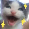 donnlyyy