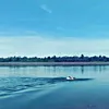 dạy🏊sinh tồn 🏊thực chiến bmt