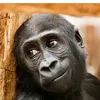 frits_malala
