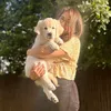 picklelilythegolden