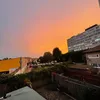 fl4vwldn
