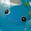 conkakho