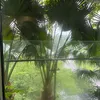 nguyenth_0