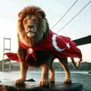 YASER ADEL