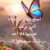 user9167834938161