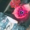user450691097
