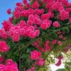 user3oenjz3bkp