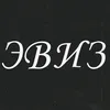 eviz_25
