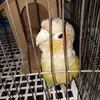 usernluehgtf20