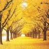 thanh.thy.trn973