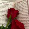 user94159694124414