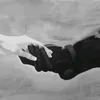iwbyl_idwbyf_h