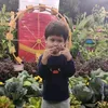 acipateh23