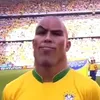 lleozinjr