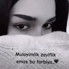 gulnoza31
