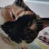 user3ikrfa694t