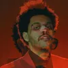 zxgcv1