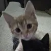 lililol222222