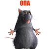 wwwwili0