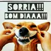 miqueias.maia5