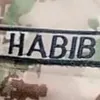 habibjatt487