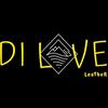 dilove.leather