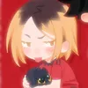 catsun29