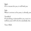meeyah041