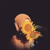 nanahelianthus