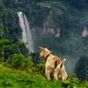 SIPI FALLS EXPLORERS