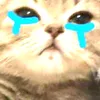 quangthminh1