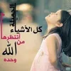 alameermm