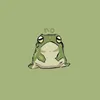 froggie1212tiktok