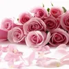 floricapacurar135