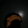 sildibregu12