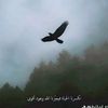 kamel0744