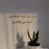 t___tasneem___1a
